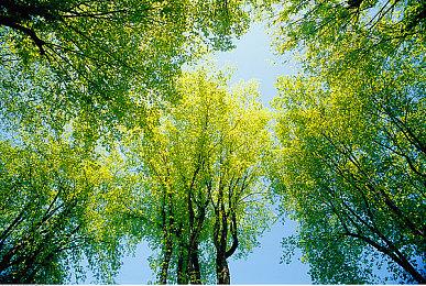 《巫师3》次世代版与原版对比截图 画面提升很惊人